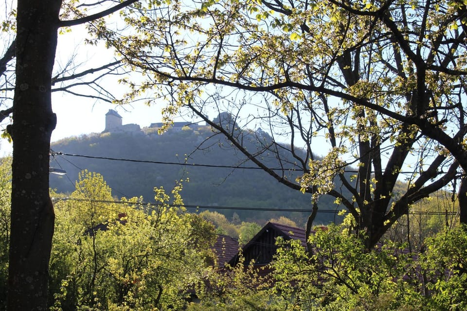 Landmark view