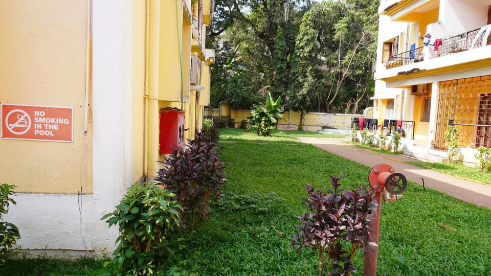 Property building, Spring, Day, Neighbourhood, Natural landscape, Garden, Cycling, Garden view, Street view