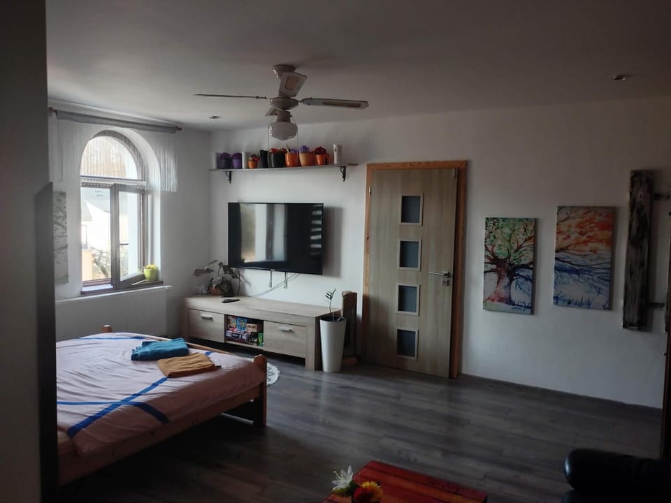 Bed, TV and multimedia