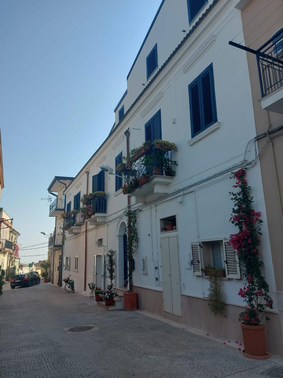 Property building