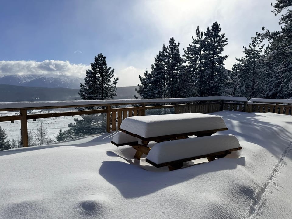 Patio, Winter