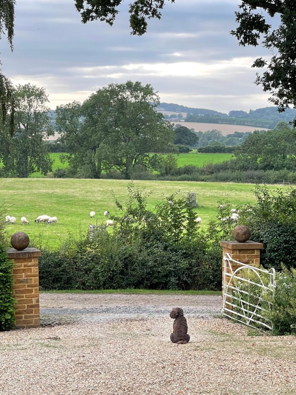 Natural landscape, Garden