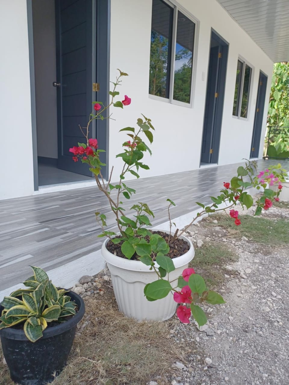 Garden view