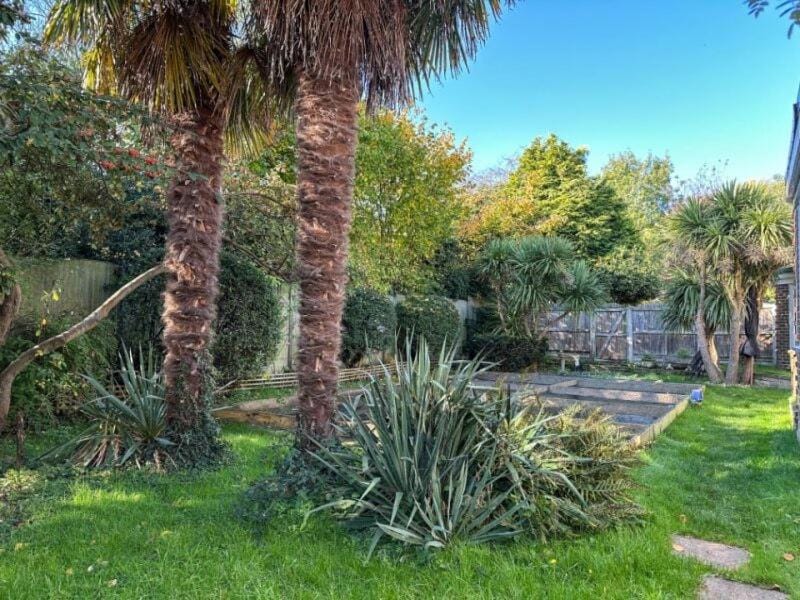 Garden view