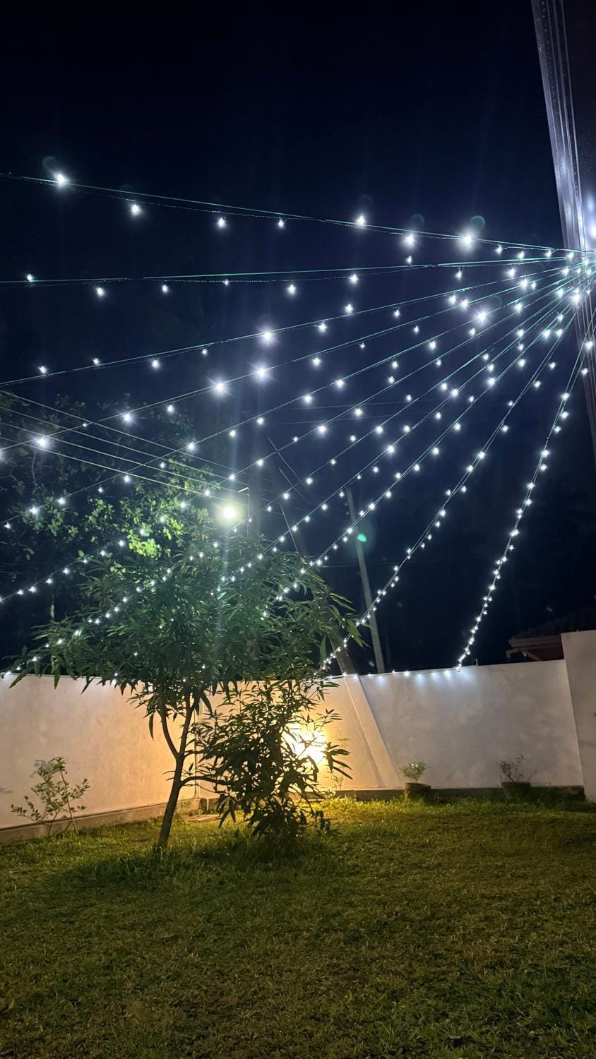 Night, Natural landscape, Garden, Garden view
