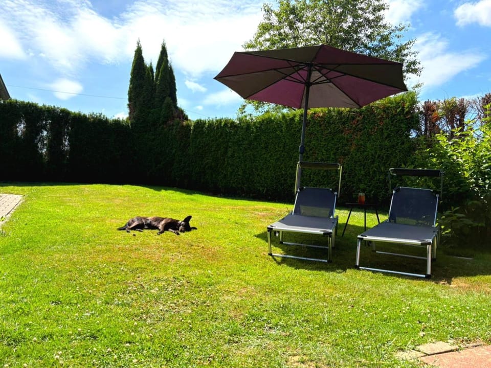 Garden, sunbed