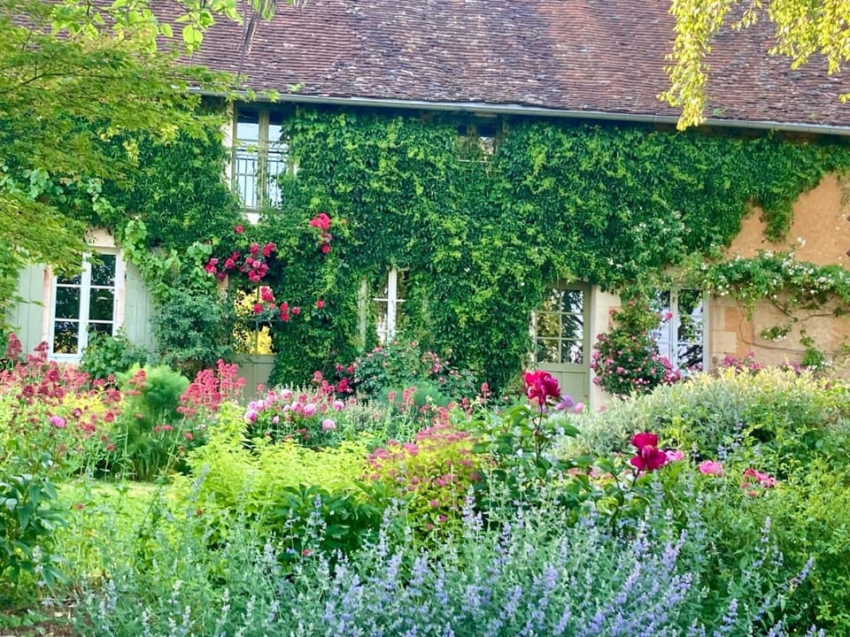 Natural landscape, Garden, Garden, Garden view