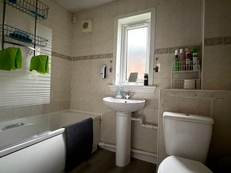 Shower, Toilet, Bathroom, Bath