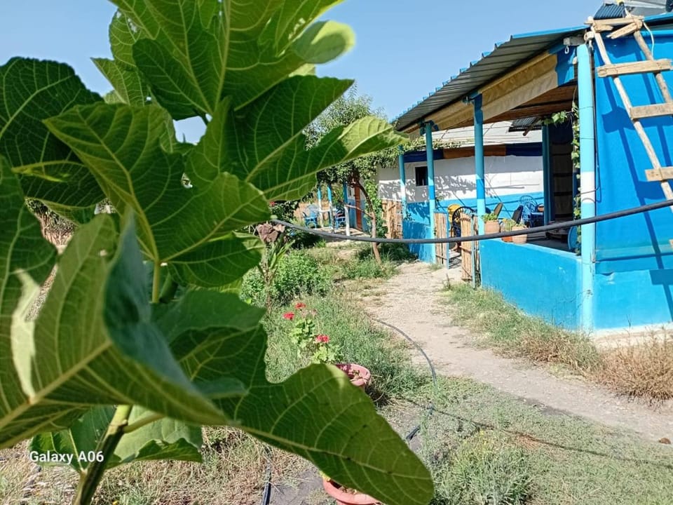 Dar zitouna Campground/ 
RV Resort in Tangier-Tétouan-Al Hoceima