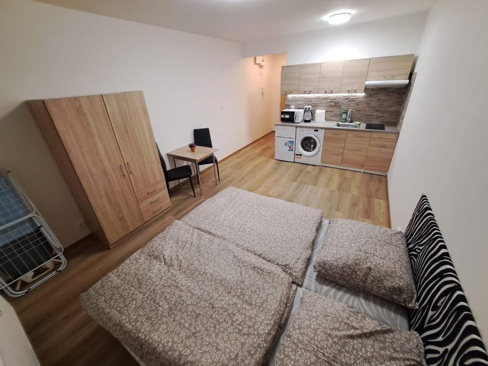 Apartmán v Karlových Varech pro 2 osoby, ulice Mládežnická Apartment in Saxony