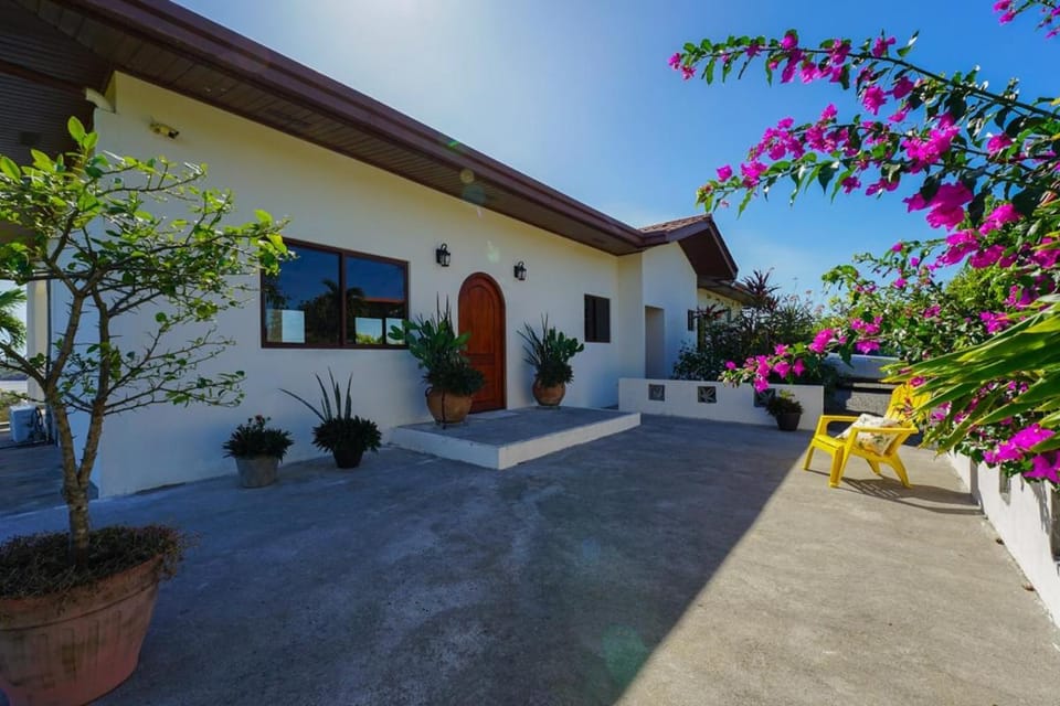 Property building, Garden, Garden