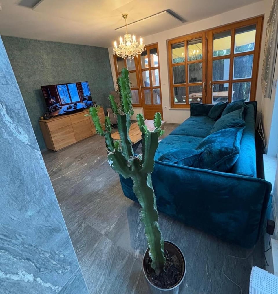 Communal lounge/ TV room, TV and multimedia, Living room