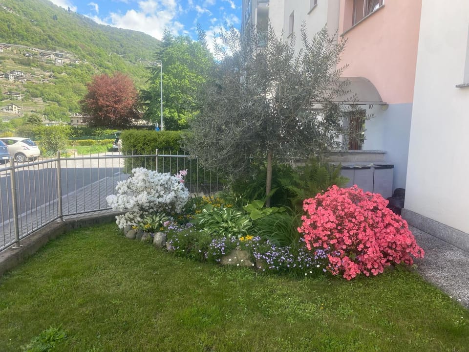Spring, Natural landscape, Garden, Garden view, Mountain view