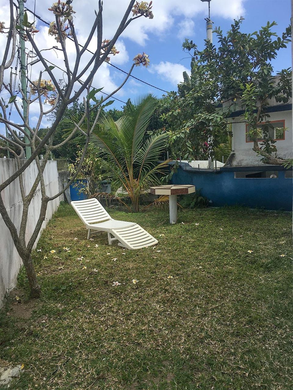 Property building, Patio, Garden, Garden view