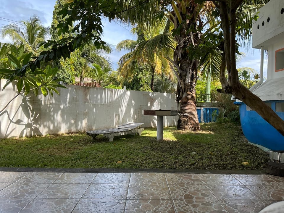 Patio, Garden, Garden view