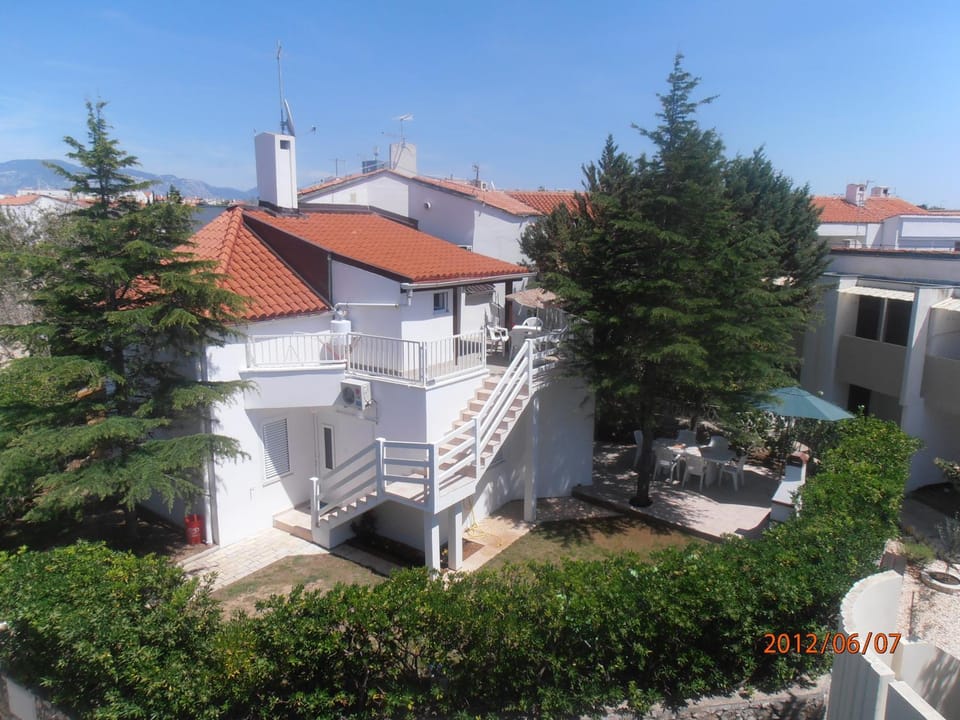 Garden, Photo of the whole room, Decorative detail