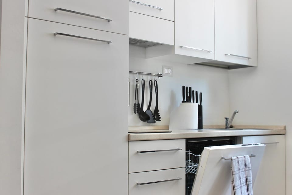 Kitchen or kitchenette, dishwasher, stove