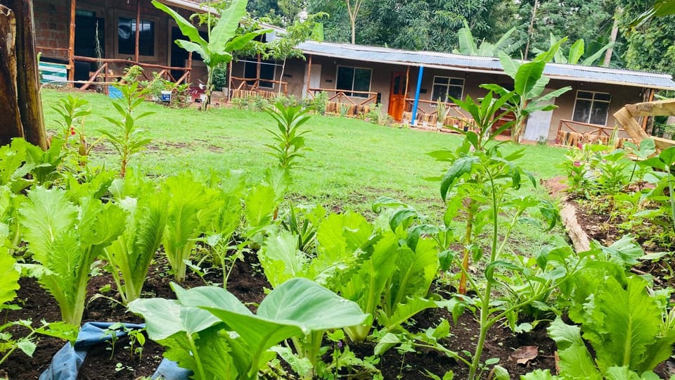 Garden view