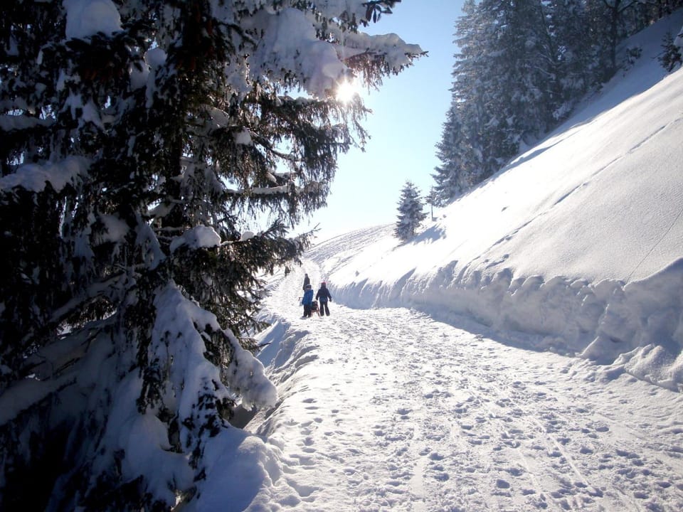 Winter, Hiking, Family