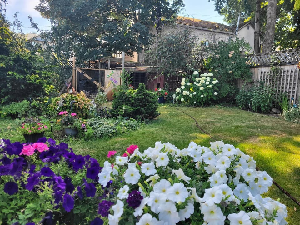 Garden