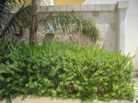 Baia Verde Gallipoli RELAIS MAFALDA Apartment in Baia Verde