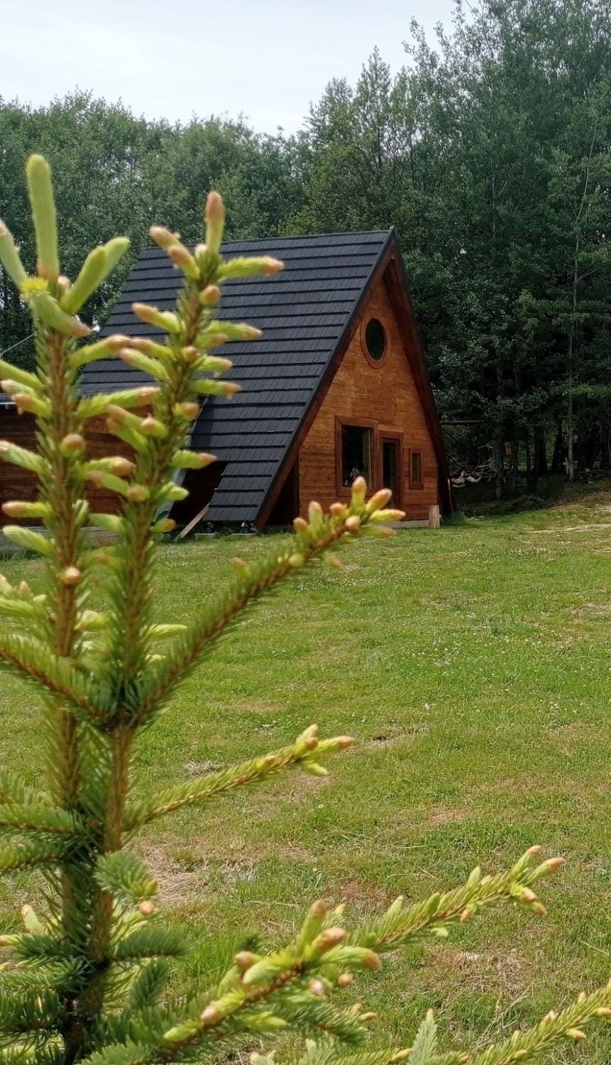 Maria - Brebu Nou Chalet in Timiș County