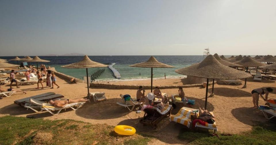 Day, Sea view, sunbed