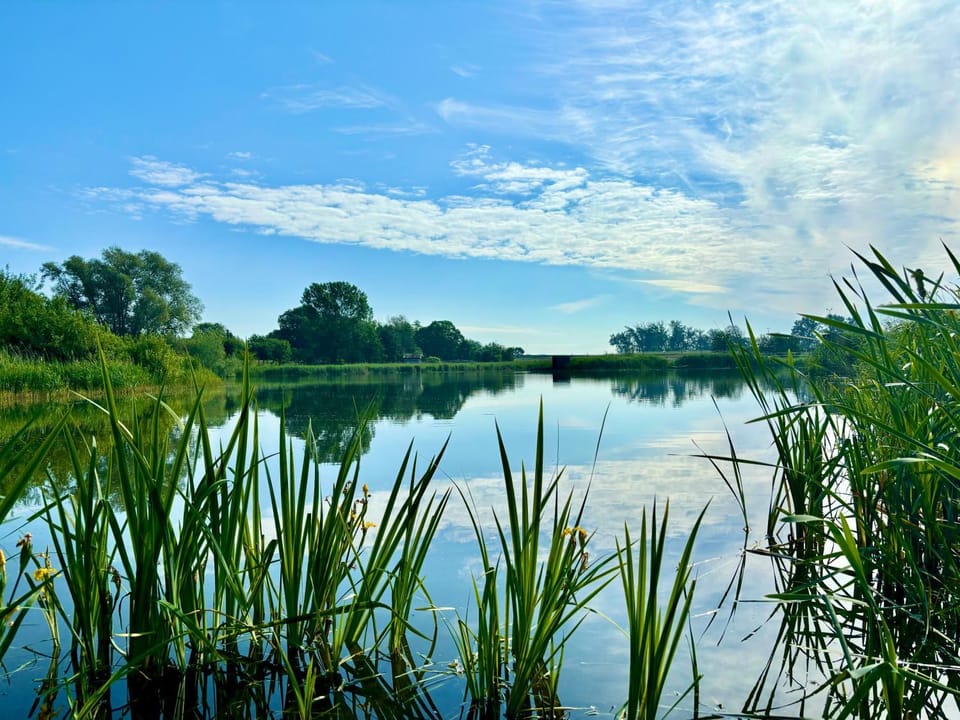 Lake view