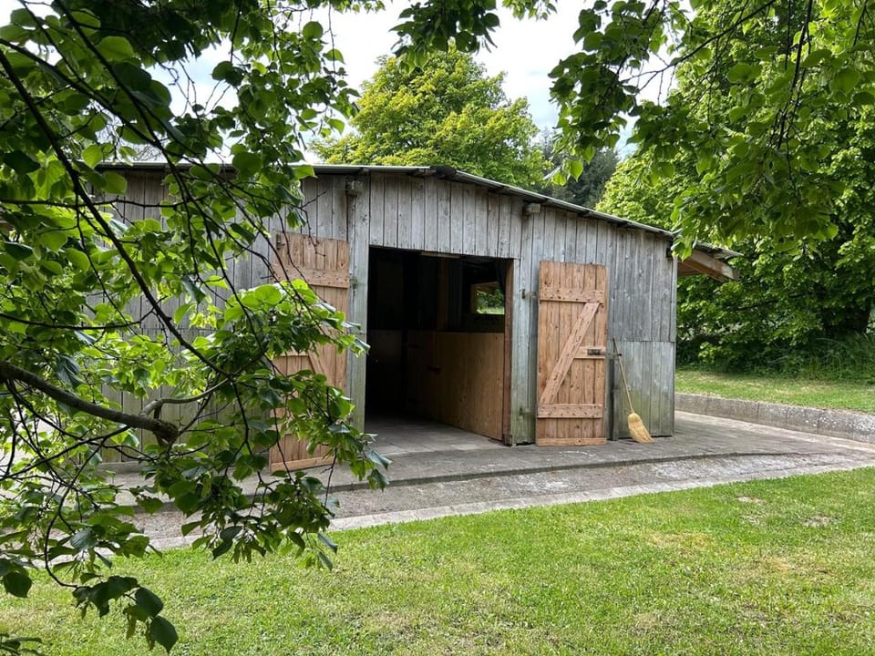Property building, Day