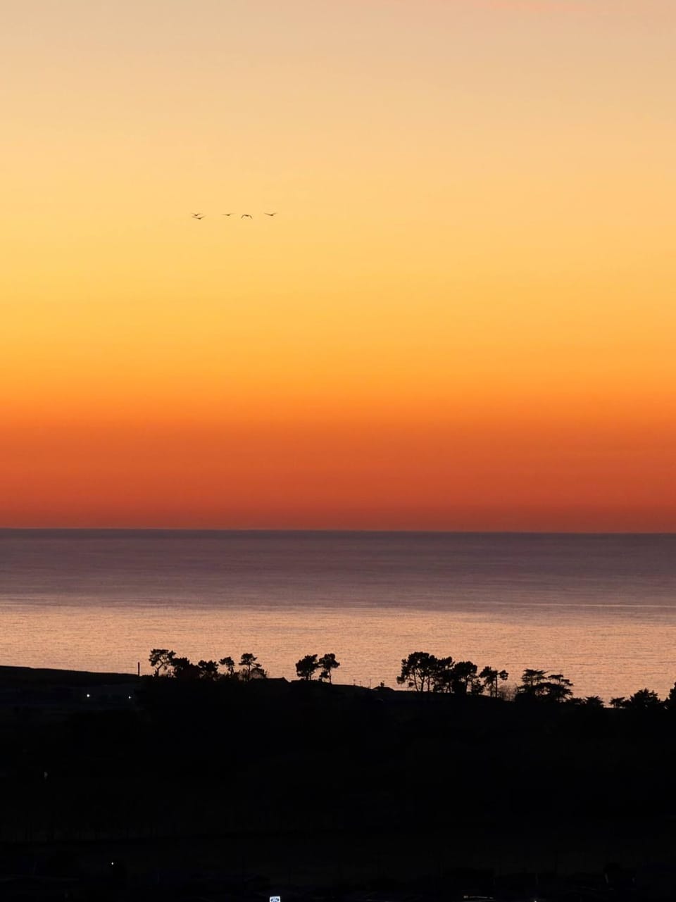 Panoramic Sea & Town View Oamaru 睁眼即见太平洋 I 躺观日月同辉 Villa in Otago