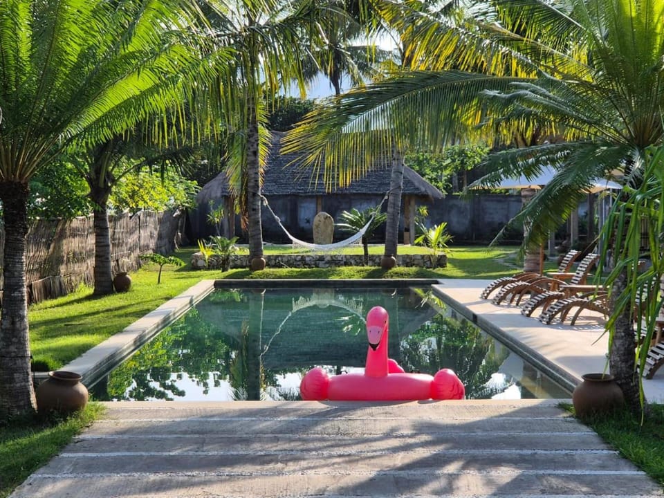 Swimming pool