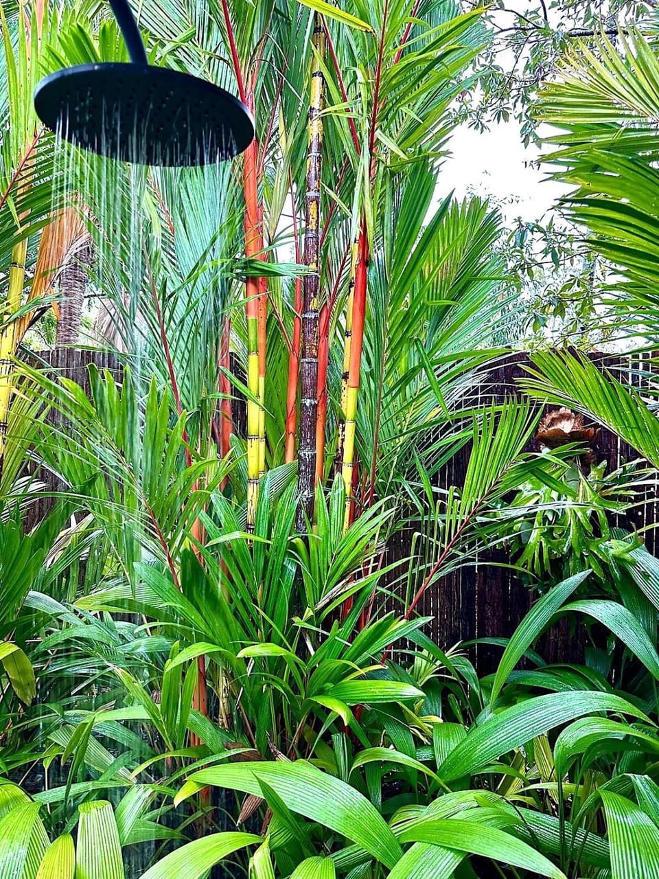 Shower, Swimming pool