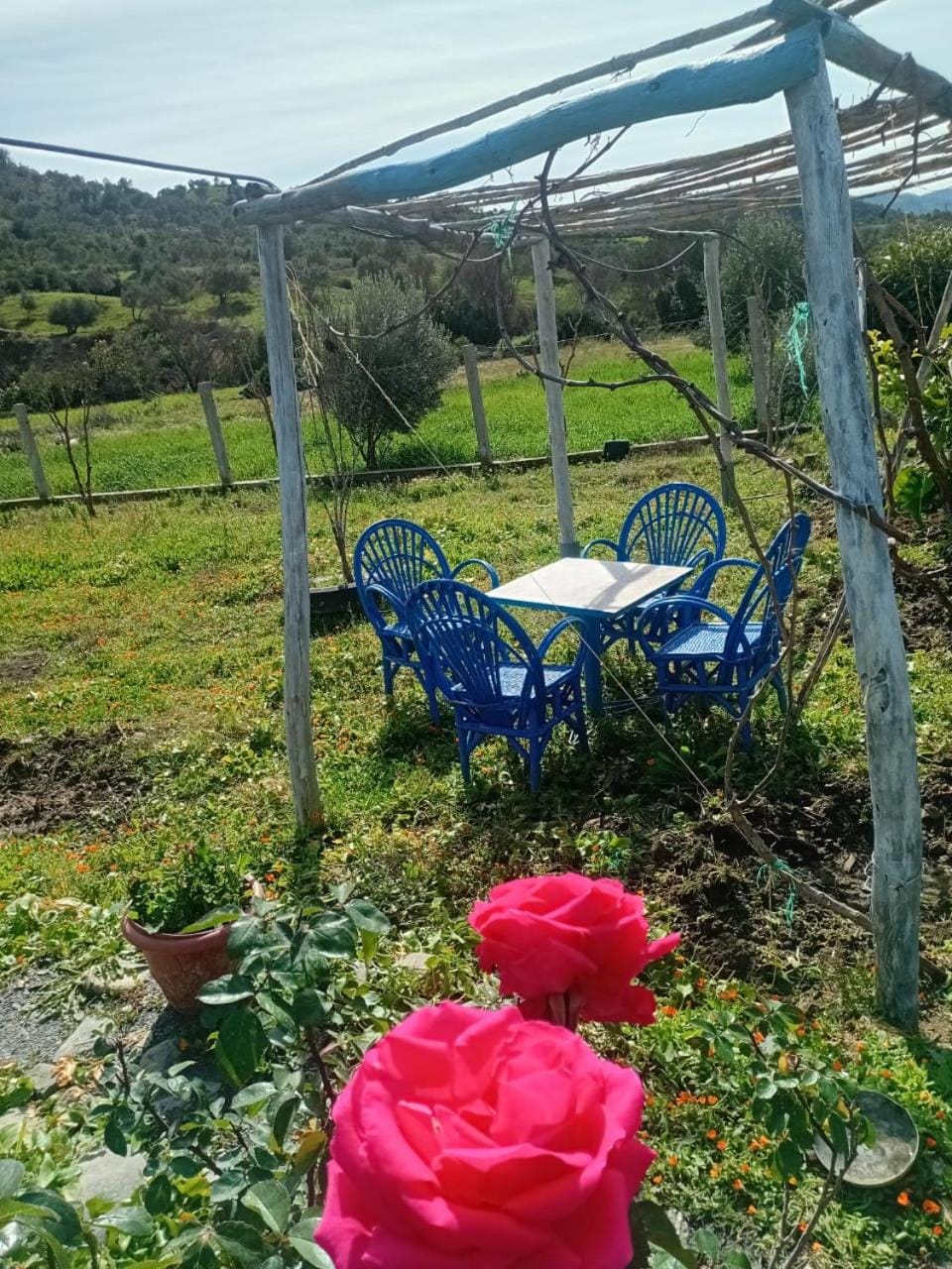 Garden, View (from property/room), Balcony/Terrace