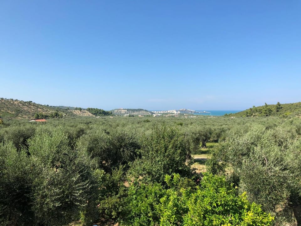 View (from property/room)