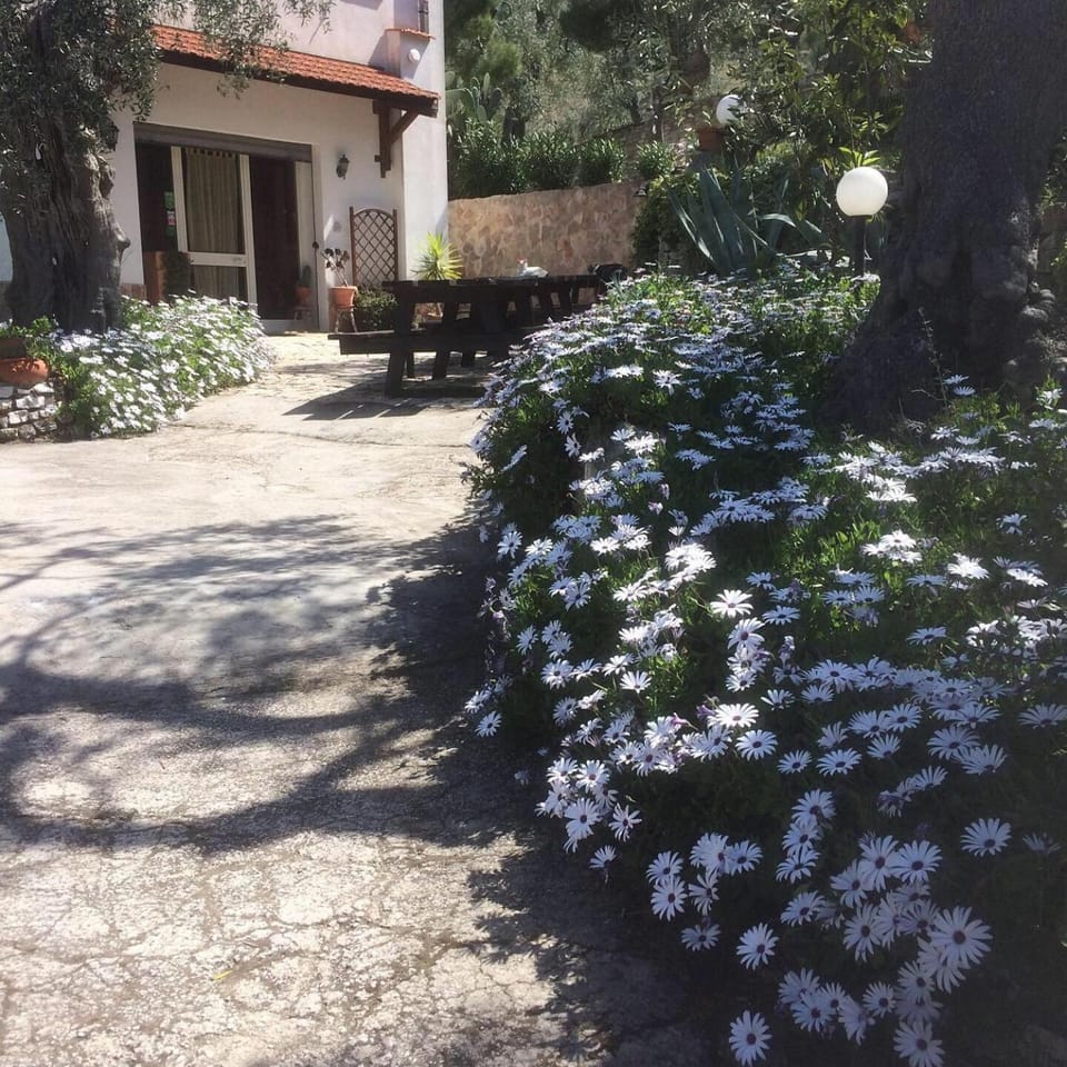 Azienda Agricola B&B Macchiaria Bed and Breakfast in Province of Foggia