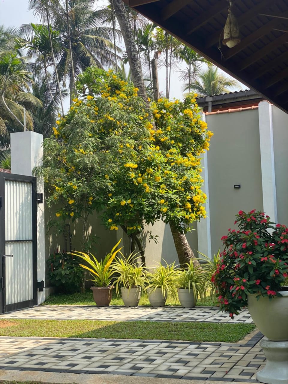 Sithuka Villa Bentota Villa in Southern Province