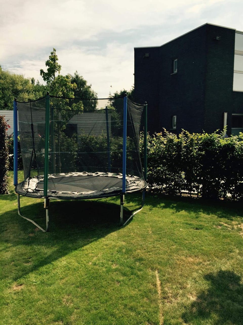 Day, Summer, Garden, On site