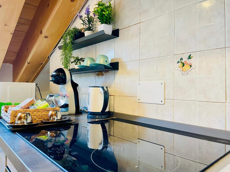 Kitchen or kitchenette, Food and drinks, Food, minibar, stove, toaster