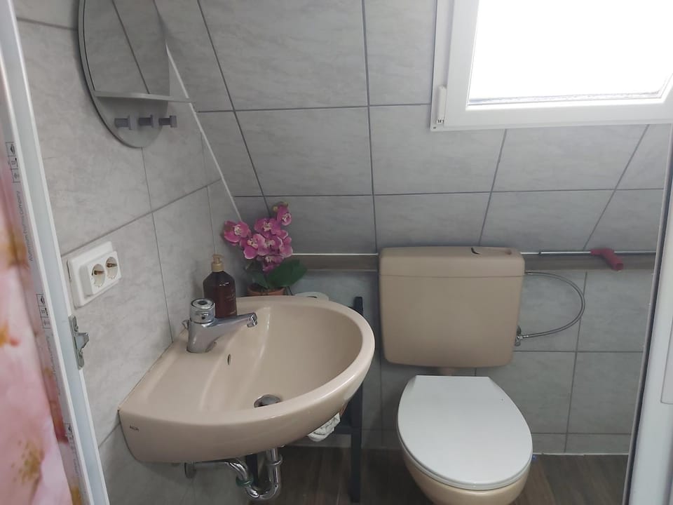 Apartamento Mariposa Apartment in Bad Hersfeld