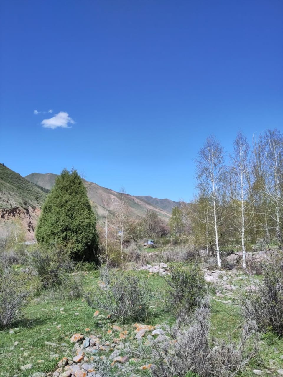 View (from property/room)