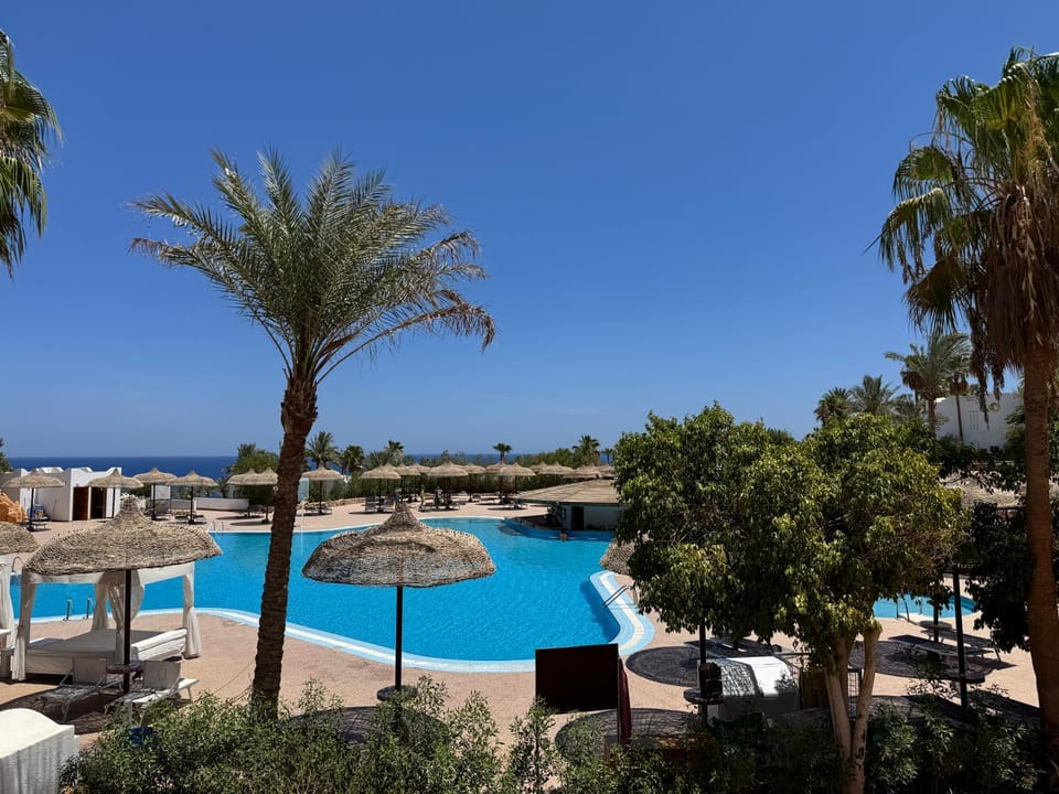 Day, Natural landscape, Pool view, Sea view, Swimming pool, Swimming pool, sunbed