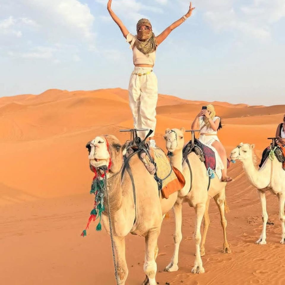 Day, People, Natural landscape, Horse-riding, Animals, group of guests