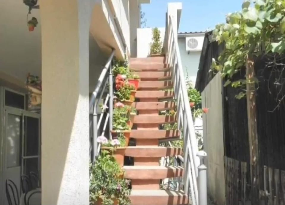 Apartments Masa Apartment in Montenegro