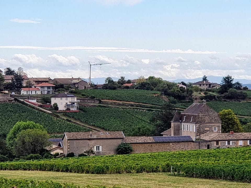 Appartement au cœur des vignes Apartment in Bourgogne-Franche-Comté