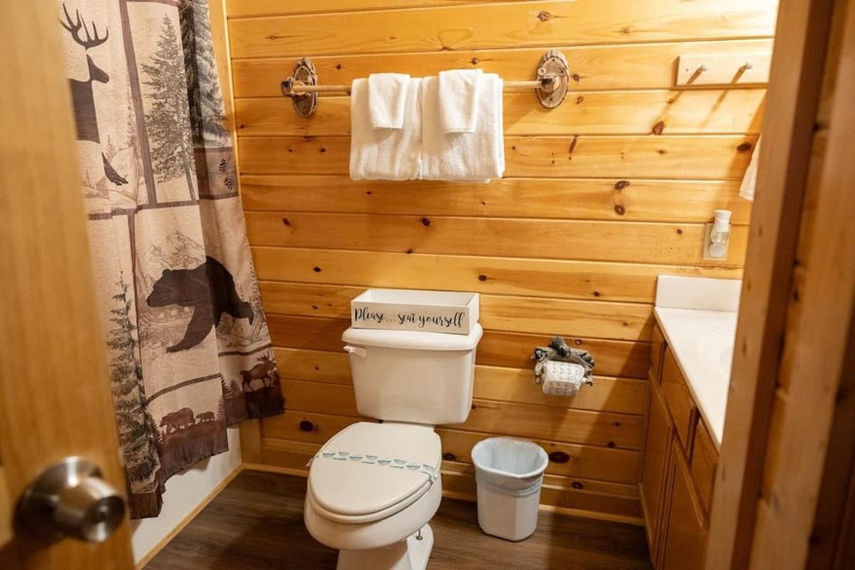 Eagle Eye Cabin in the Smokies Cabin in Sevierville