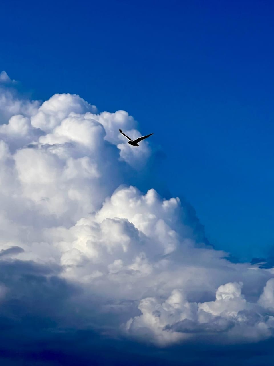 Day, Natural landscape