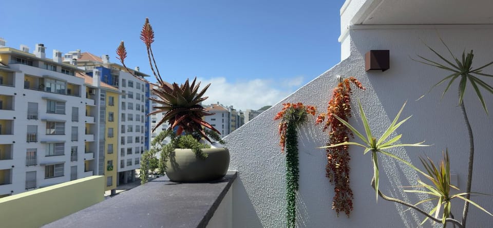 M&M - Estúdio Apartment in Ponta Delgada