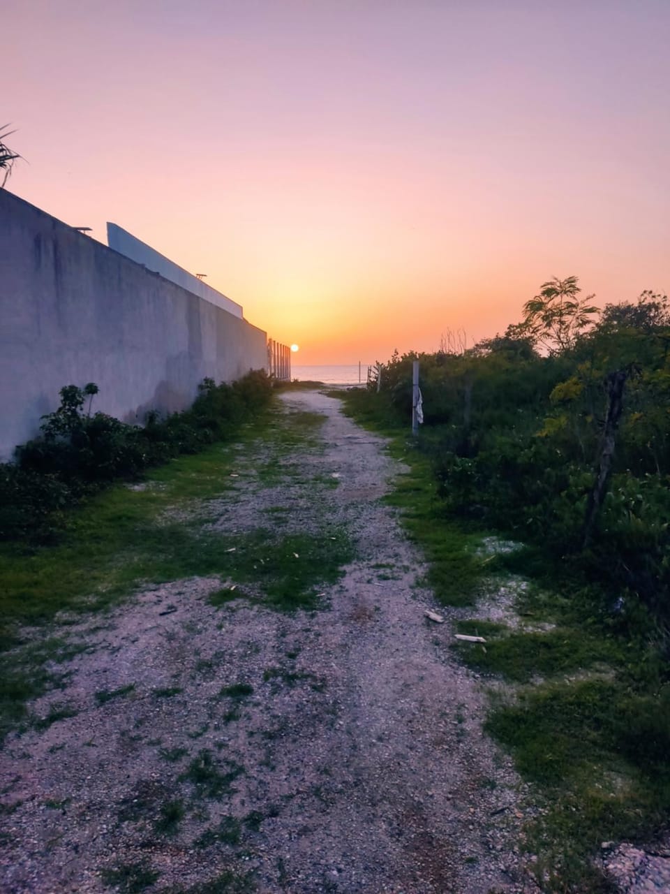 Estudio Independiente, Tres Flamencos Apartment in State of Yucatan