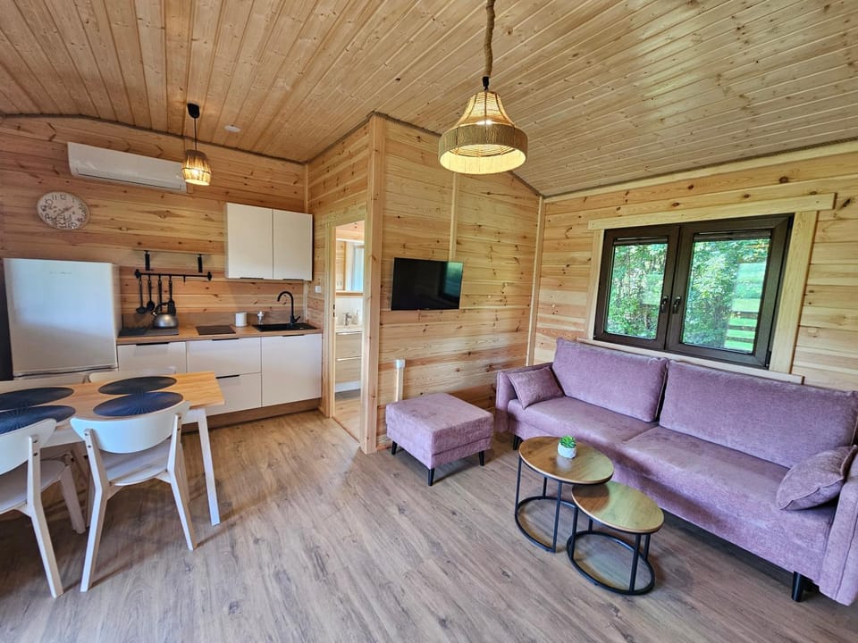 Kitchen or kitchenette, Living room, air conditioner