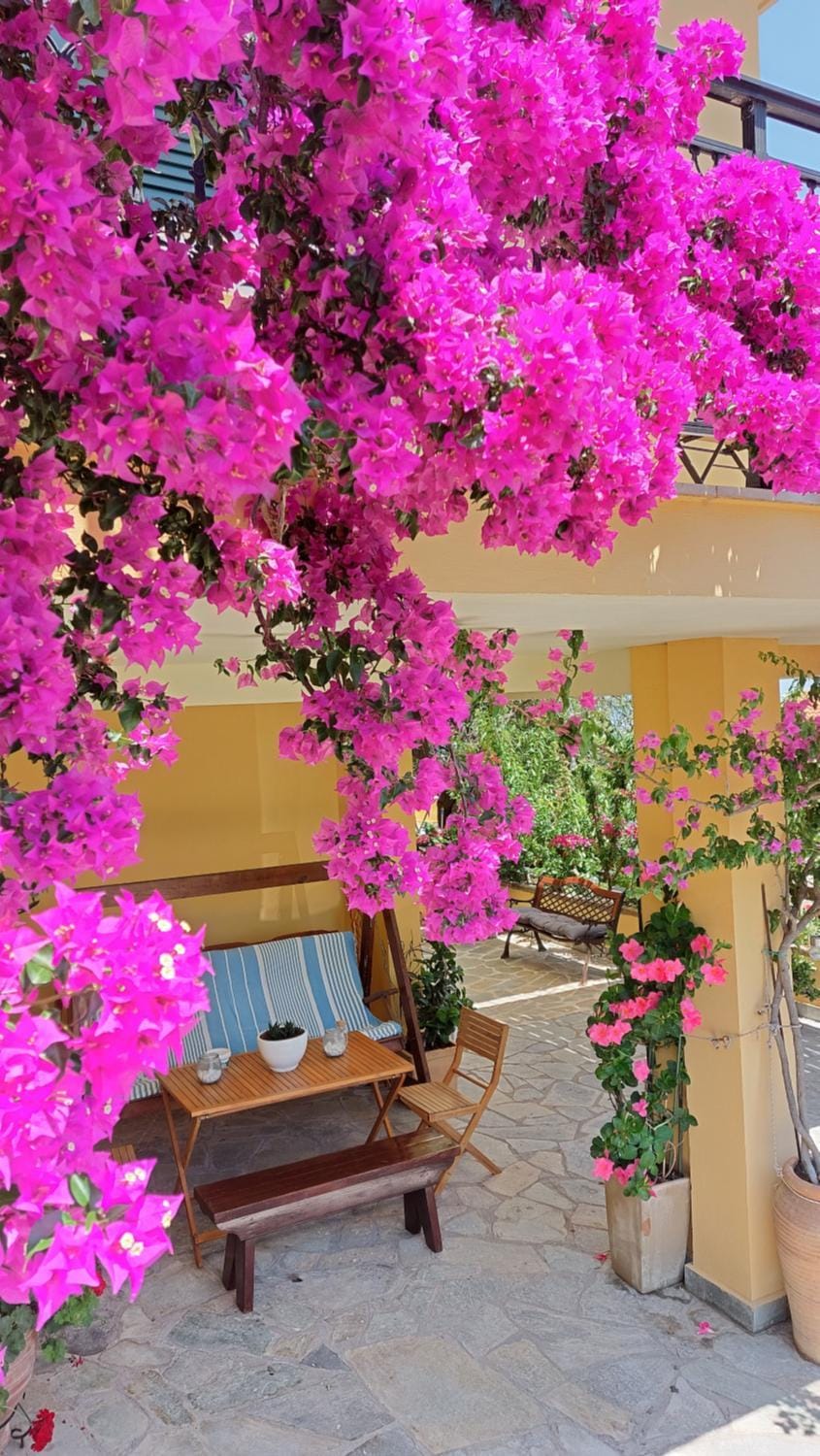 Kontis Apt 1 Apartment in Corfu, Greece